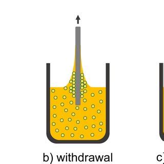 Sequential stages of the dip-coating process: (a) dipping, (b ...