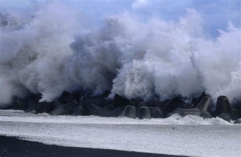 Wider Tokyo area braces for travel chaos as typhoon makes landfall