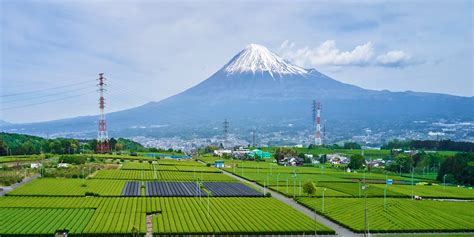 How technology is transforming Japan's agriculture - Article