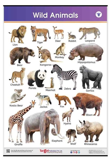 10 Wild Animals Name Wild Animals In English English Grammar Here ...