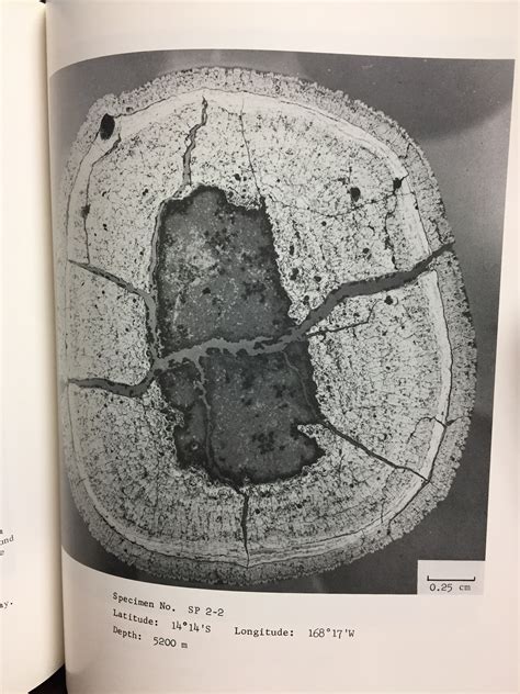 Manganese Nodules: Research Data and Methods of Investigation