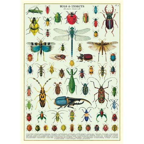 Vintage Poster - Bugs & insects - Independent Living