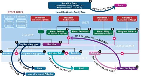 Herod the Great Family Tree: Exploring the Lineage of a Notorious King