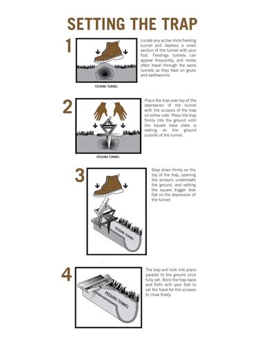 Tips for Setting Up a Mole Trap Correctly | Moles Control