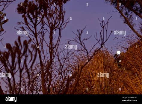 Moon shines in the back of hill hi-res stock photography and images - Alamy