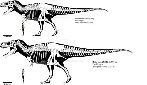 Tyrannosaurus rex and Vastatosaurus rex size by mark0731 on DeviantArt