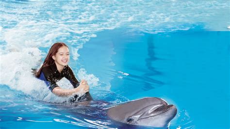 Dubai Dolphinarium: Dive into Swimming with Dolphins - Thrillark