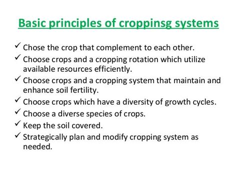 Cereal based cropping system in india