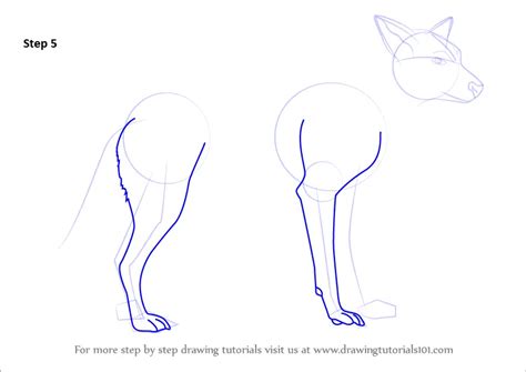 Step by Step How to Draw a Dingo : DrawingTutorials101.com