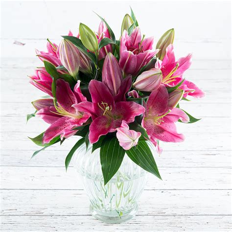 Stargazer Lily Bouquet