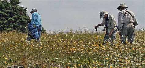 Research Shows Plants Are Sentient. Will We Act Accordingly?