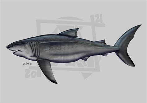 ArtStation - Otodus megalodon