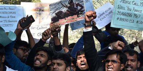 Jallikattu Ban: Tamil Nadu Government Sends Law Amendment Draft To Centre | HuffPost News