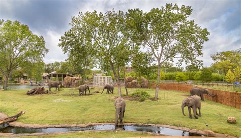 Elephant Habitat Receives Landscape Merit Award | GLMV