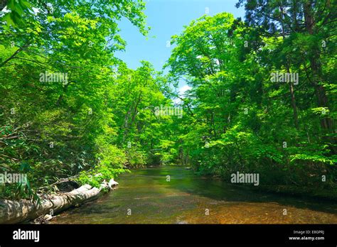 Akita Prefecture, Japan Stock Photo - Alamy