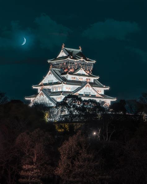 The Osaka Castle at night is truly amazing : r/japanpics