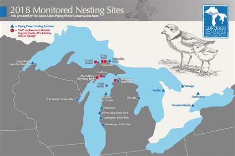 Piping Plover Habitat Protection – Superior Watershed Partnership & Land Conservancy