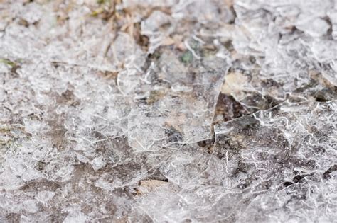 Premium Photo | Ice crust on the ground. winter nature. frozen water. cold weather. melting ice ...