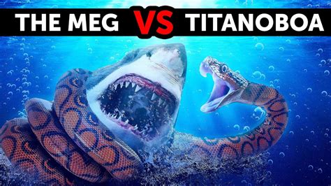 Titanoboa Vs Megalodon