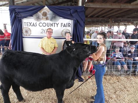 PHOTOS: 2021 Texas County Fair Junior Livestock Sale - Houston Herald