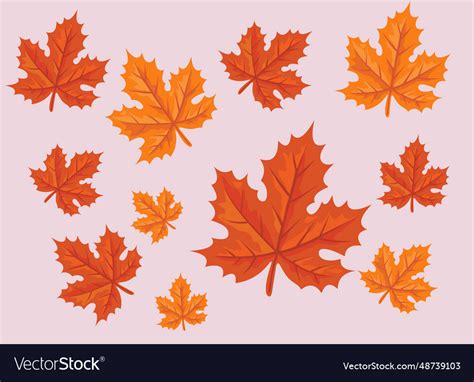 Autumn-leaf-art-isolated Royalty Free Vector Image