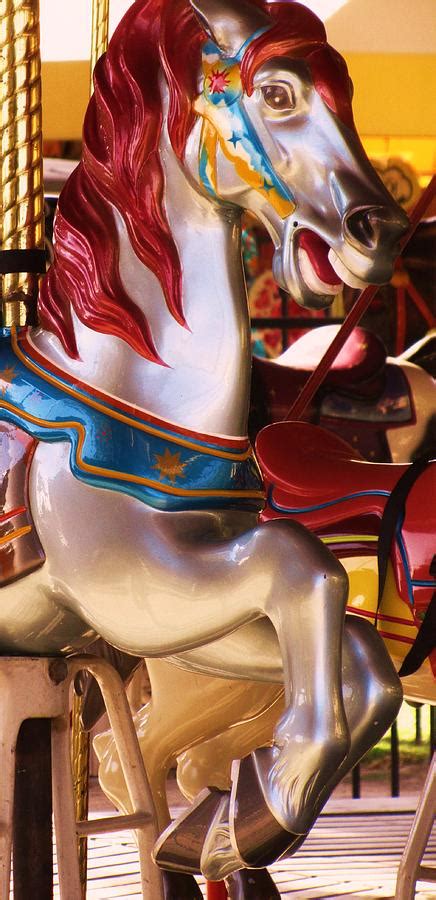 Merry Go Round Horse Photograph by Debra Souza - Pixels