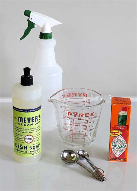 Ingredients for homemade squirrel repellent Squirrel Proof Garden ...