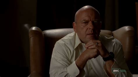 Hank Schrader - Breaking Bad - Hank Schrader Photo (36838928) - Fanpop