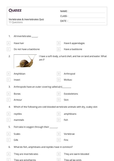 Vertebrates And Invertebrates Worksheets