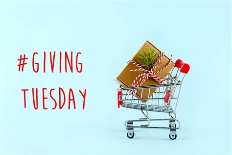 Maximize Giving Tuesday for Your Small Nonprofit - Foundation Group®