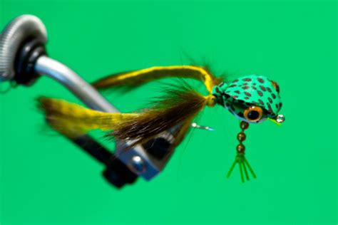 Here's one I just tied up over lunch. I usually tie these swimming ...