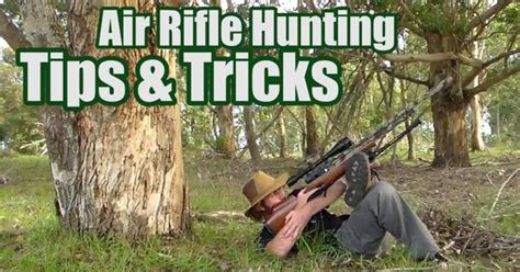 Air Rifle Hunting Tips & Tricks: Position, Stance & Balance | Airgun stuff | Pinterest | Air ...