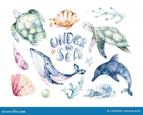 Watercolor sea creatures Blue whale clipart Ocean animal Seal PNG Turtle sticker Painted octopus ...