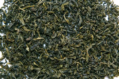 Dried green tea leaves stock image. Image of leaves, beijing - 19175655