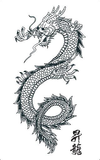 The Best Tattoo: Japanese Dragon Tattoo Design