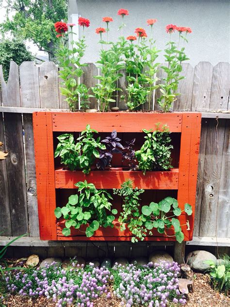 Pallet Herb Garden | Herb garden pallet, Herb garden, Garden