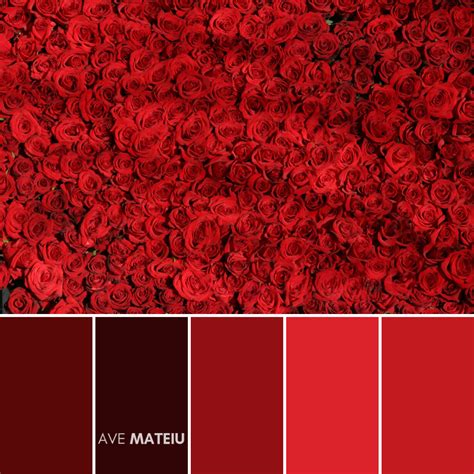 10 Valentine's Day Color Palettes 2020 + FREE Colors Guide | Ave Mateiu ...