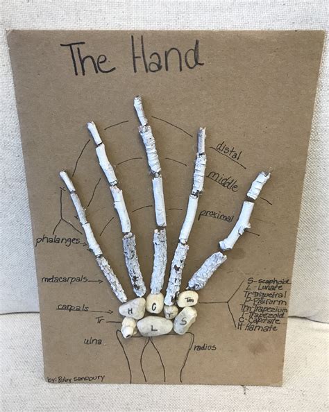 The Importance of School Projects — Perimeter School