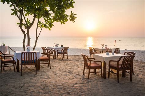 Best Restaurants in Lido Beach | Explore Suncoast