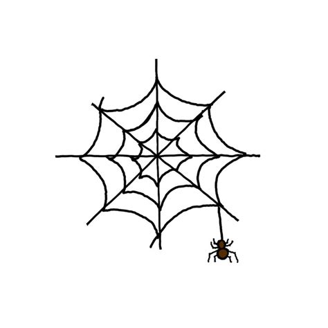 Spider Web With Spider Drawing