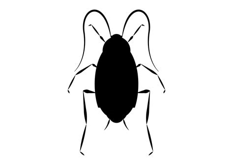 Black and White Oriental Cockroach Clipart Vector isolated on White Background 29110640 Vector ...