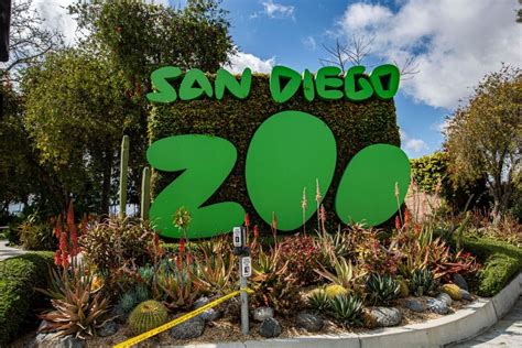 San Diego Zoo Bag Policy 2025: Everything You Need To Know | Stasher Blog