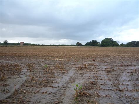 Muddy field near Church Farm © JThomas cc-by-sa/2.0 :: Geograph Britain and Ireland