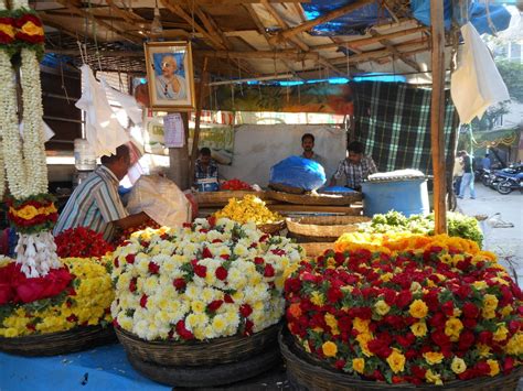 Bangalore: A Guide for Visitors: Gandhi Bazaar, Basavanagudi