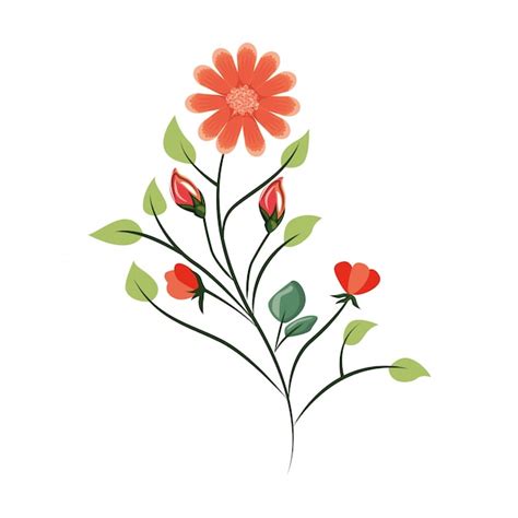 Premium Vector | Flowers beautiful nature drawing