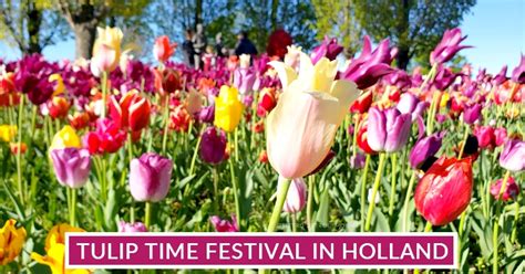 Five Family-Friendly Things to Do During the Holland Mi Tulip Festival