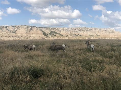 6 Best Hikes in Badlands National Park – MY Travel BF