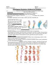 Homologous Embryology.docx - SBI3U Name: Unit C: Evolution Date ...