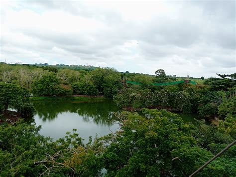 Legon Botanical Gardens Playground – TortoisePath