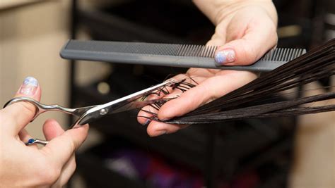 Best Professional Shears: 5 Ways to Cut to the Chase